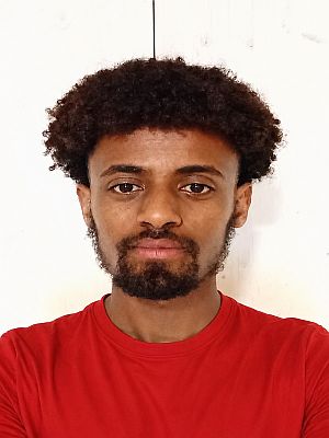 Habtamu Niguse L.